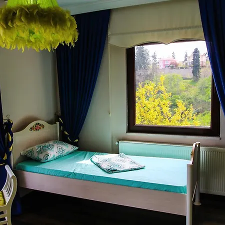 Dilek Holiday home *